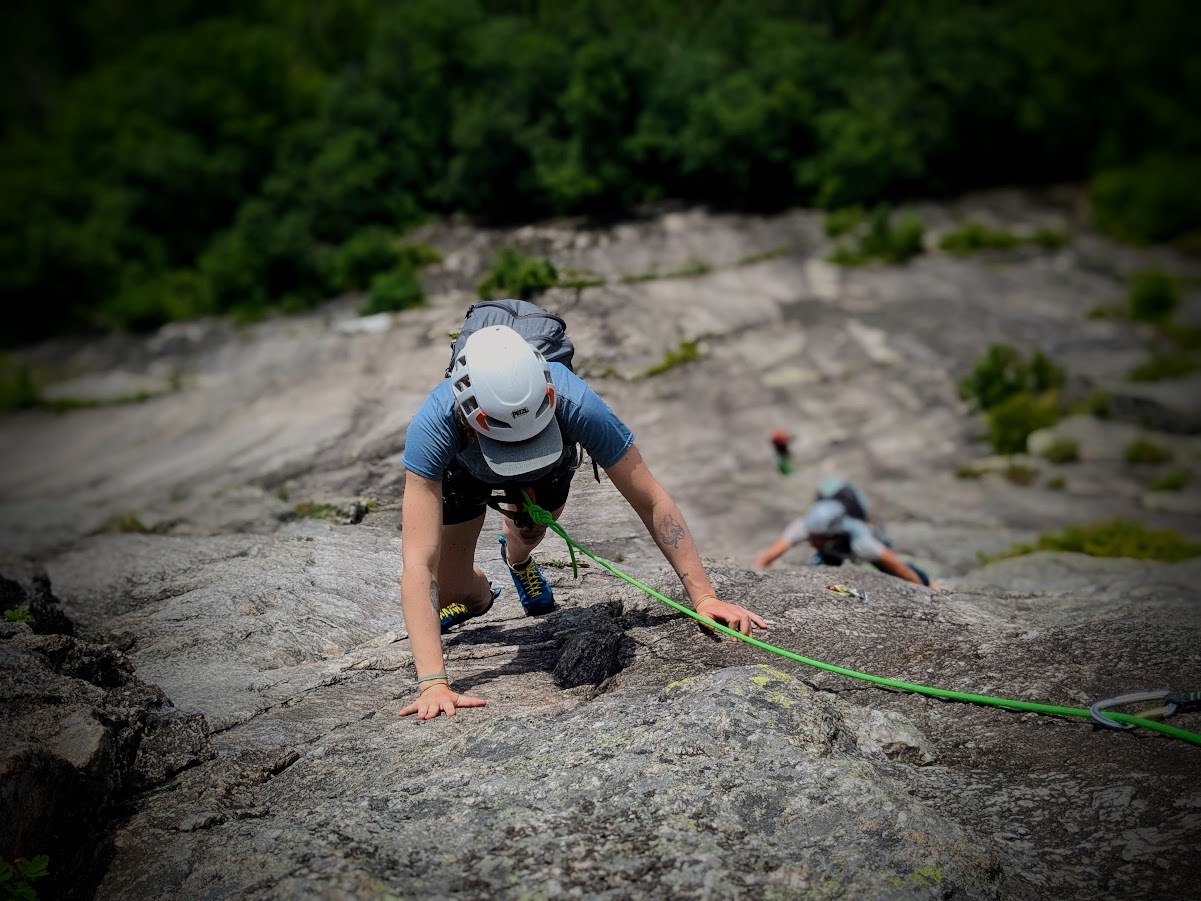 Roche Palissades.jpg