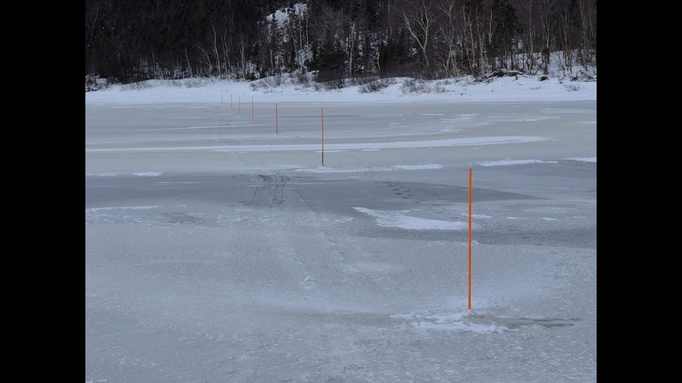 Pomme d'or annonce2.jpg